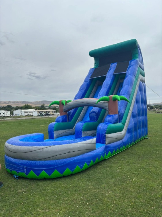 18' Blue Palm Slide